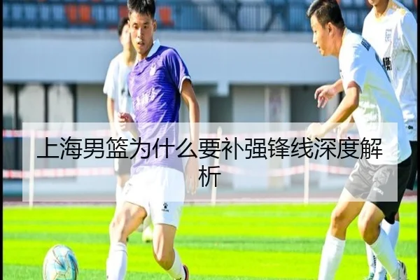 上海男篮为什么要补强锋线深度解析